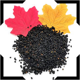 Elderberry Pack